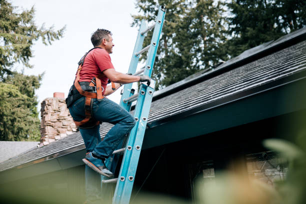 Best Roofing for New Construction  in Curtisville, PA